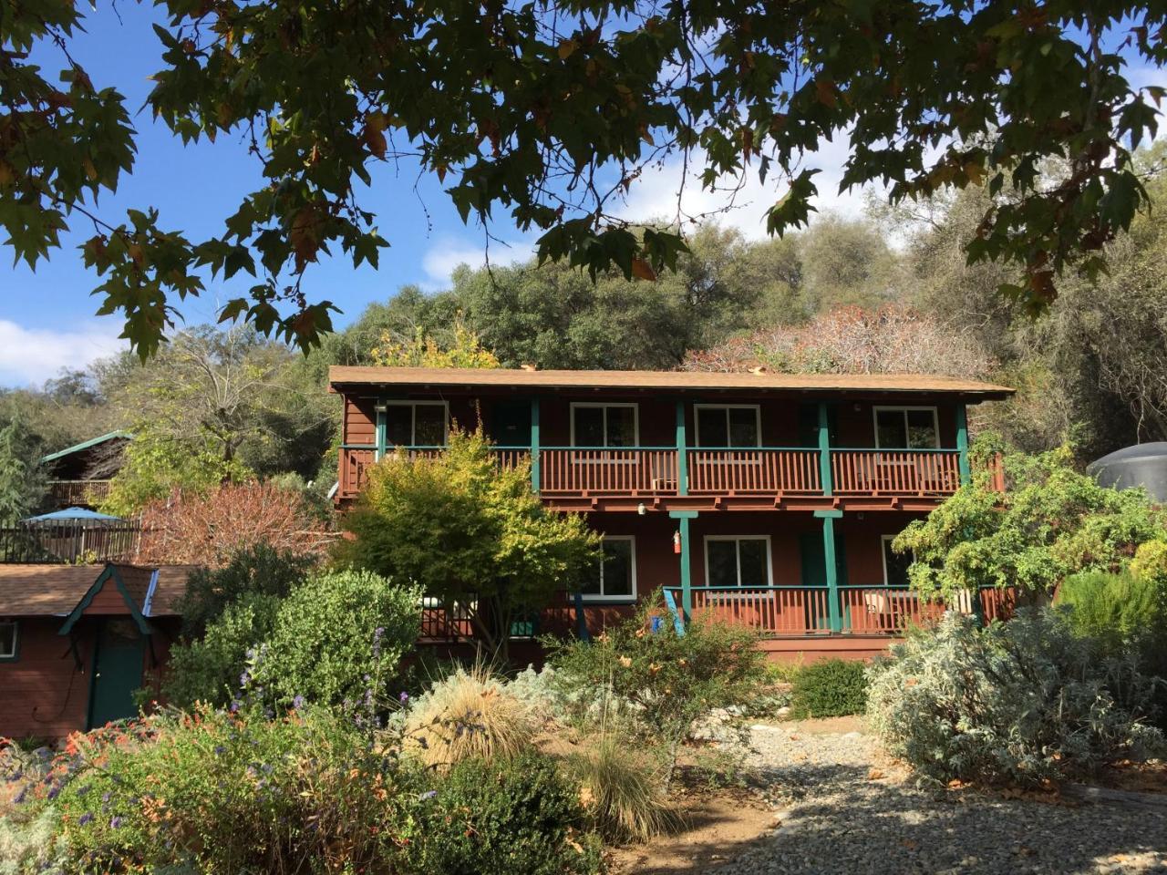 Buckeye Tree Lodge Трі-Риверс Екстер'єр фото